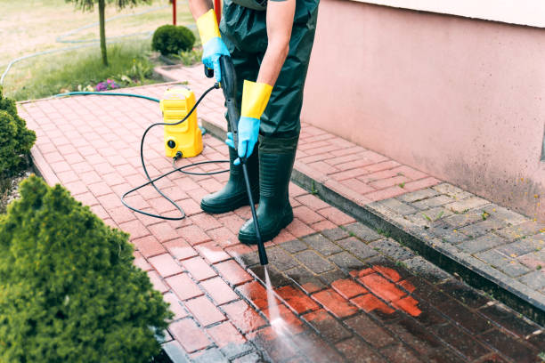 Best Solar Panel Cleaning  in Rosedale, CA